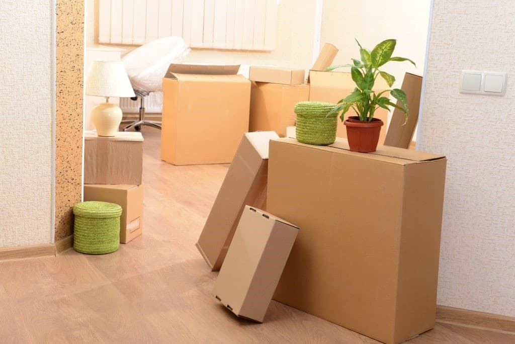 Organizing Your Home After a Move - Harmony Home Organizing