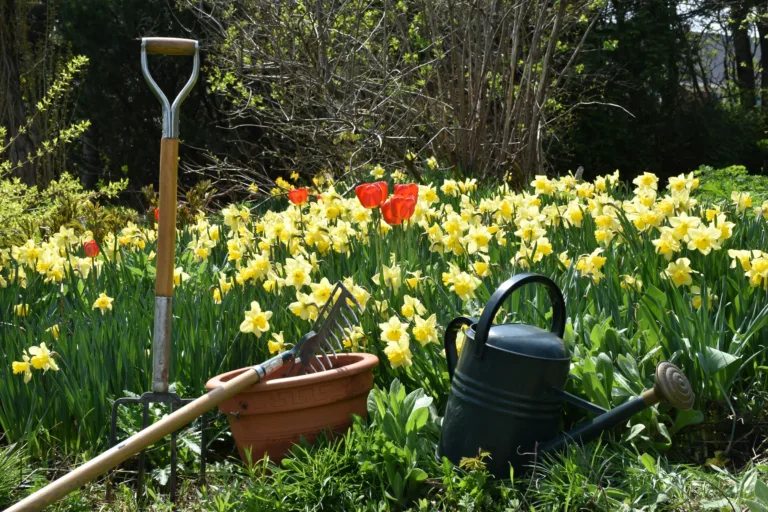 Stress-free Gardening: Decluttering and Organizing Gardening Supplies - Harmony Home Organizing