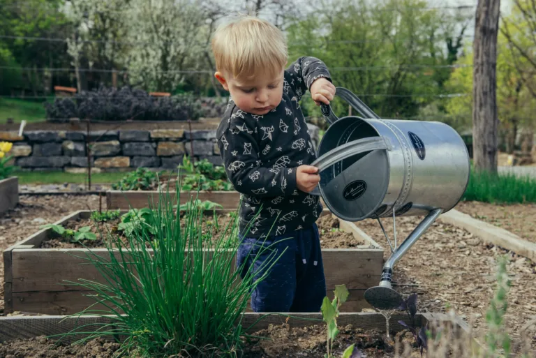 Stress-free Gardening: Decluttering and Organizing Gardening Supplies - Harmony Home Organizing