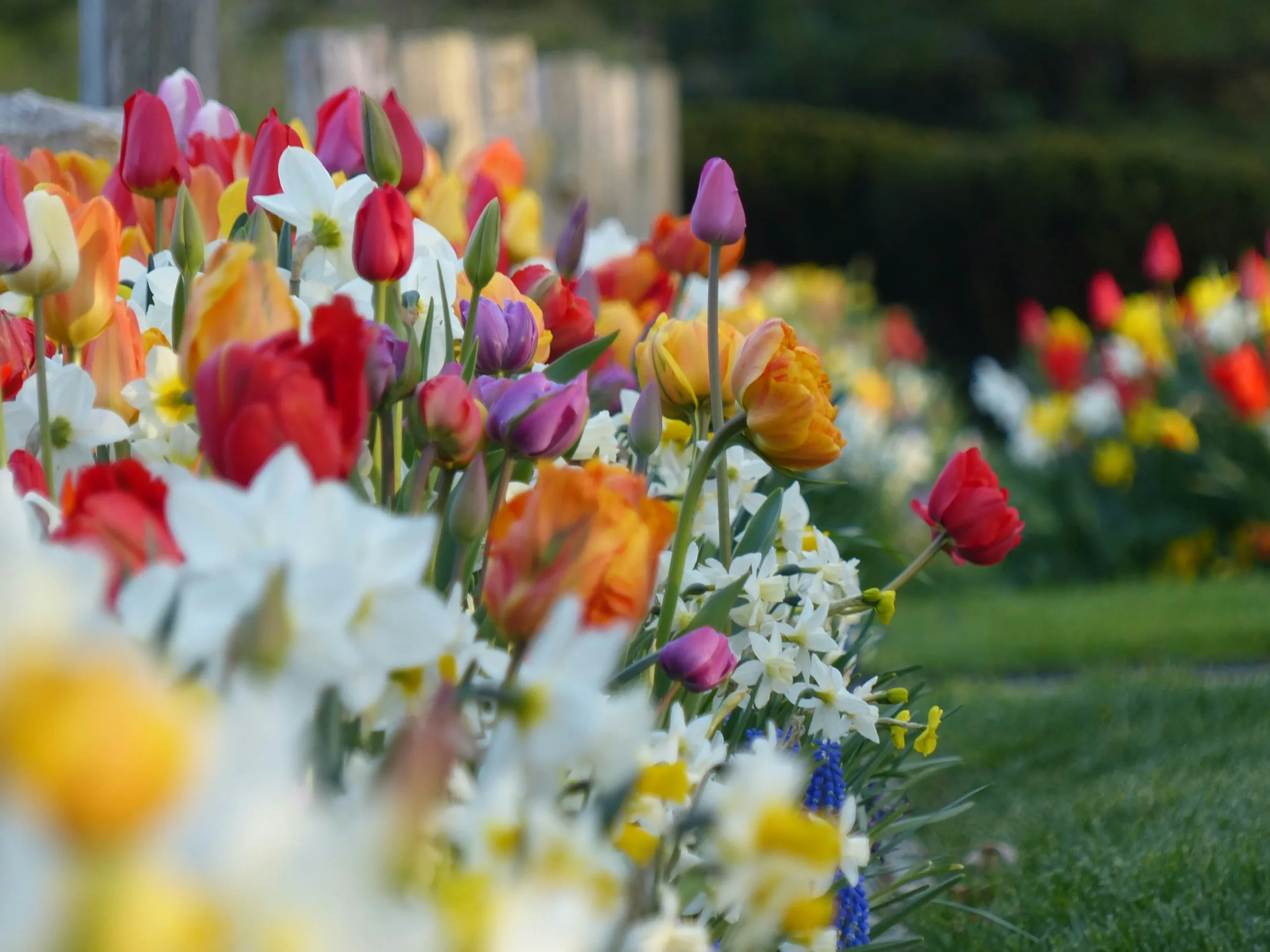 Stress-free Gardening: Decluttering and Organizing Gardening Supplies