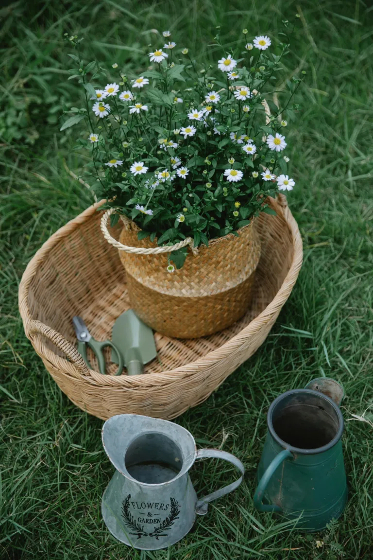 Stress-free Gardening: Decluttering and Organizing Gardening Supplies - Harmony Home Organizing