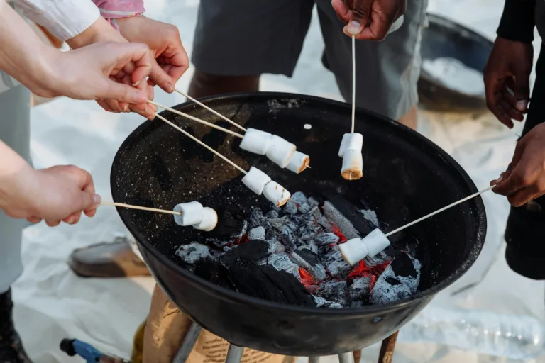 BBQ Organization Hacks: Organize and Host a Successful BBQ Without Stress - Harmony Home Organizing