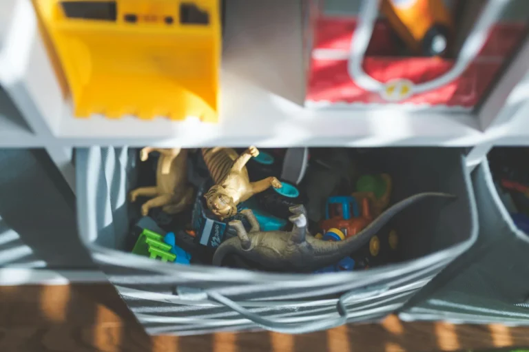 A Simple Labelling Trick that Actually Helps Kids Clean Up - Harmony Home Organizing