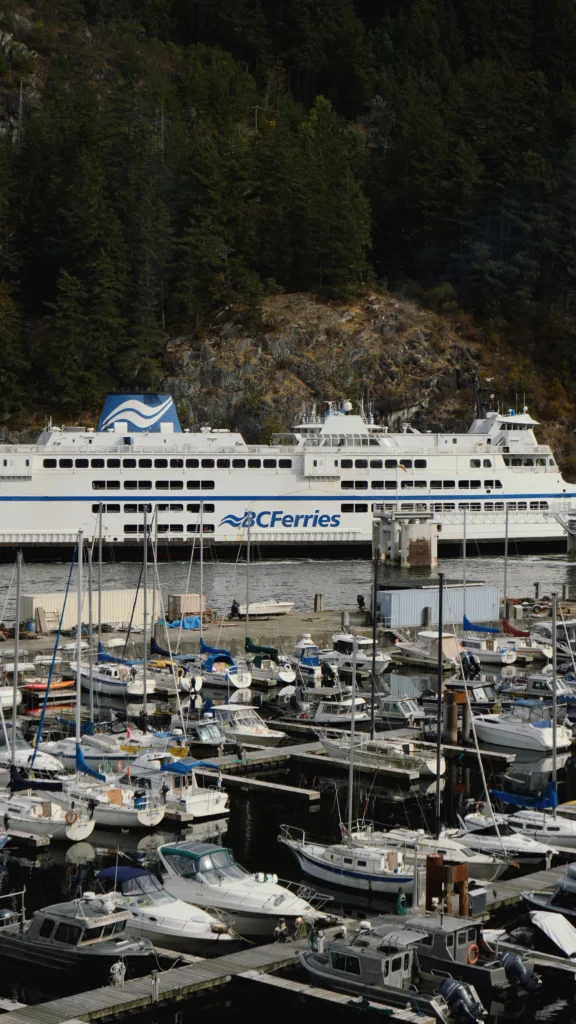 Moving From Vancouver to Victoria? Packing Tips for Island Moves. 1 Moving From Vancouver to Victoria? Packing Tips for Island Moves. - Harmony Home Organizing